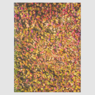 Goldene Herbstfarben Efeu Wand Seidenpapier