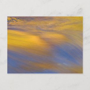 Goldene Herbstreflexion auf fließendem Wasser Postkarte
