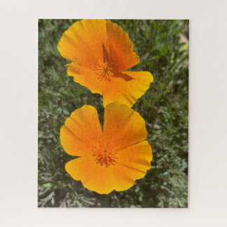 Goldene Kalifornische Mohnblumen in Blüte, Oakland Puzzle