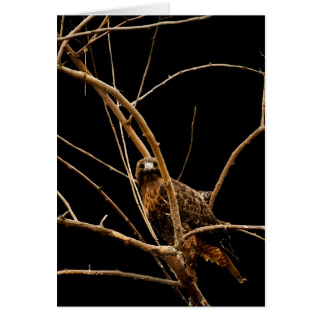 Goldene Karte (Vorne)