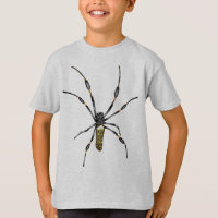 Goldene Kugel-Spinne
