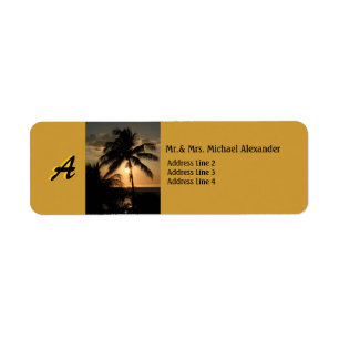 Goldene Küstenlinien-Sonnenuntergang-Palme mit