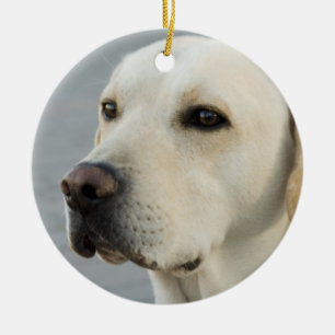Goldene Labrador retriever-Fotografie Keramikornament