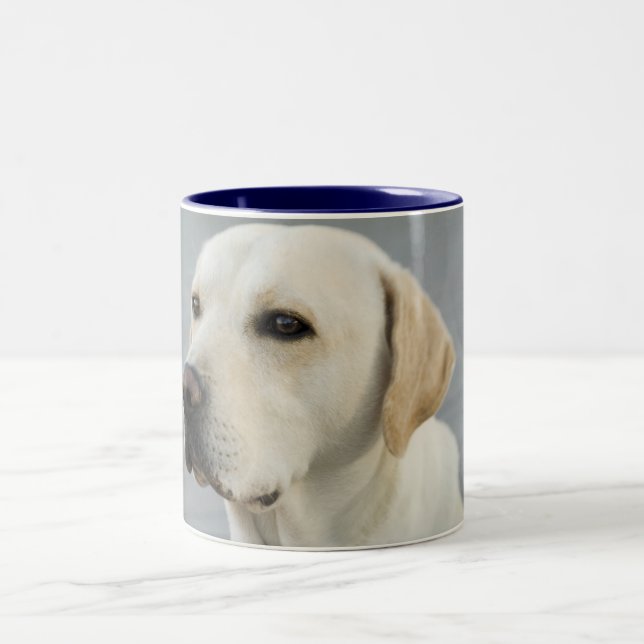 Goldene Labrador retriever-Fotografie Zweifarbige Tasse (Mittel)