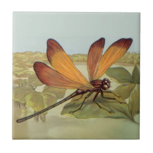 Goldene Libelle Fliese