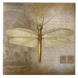 GOLDENE LIBELLE KACHEL