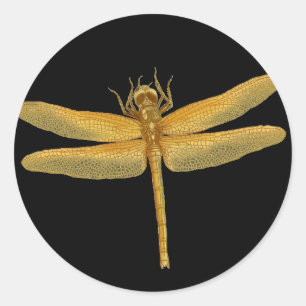 Goldene Libelle Runder Aufkleber
