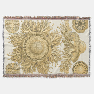 Goldene Meerestiere Decke