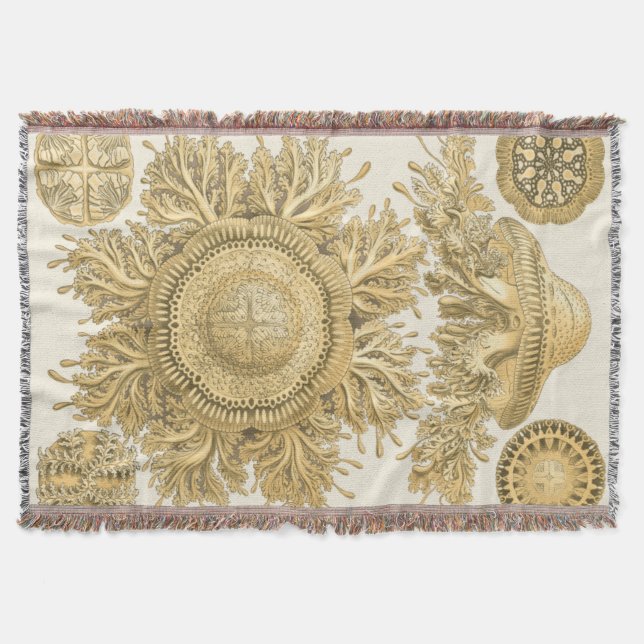 Goldene Meerestiere Decke (Vorderseite)