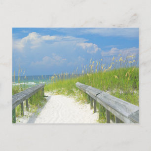 Goldene Meerestiere Postkarte