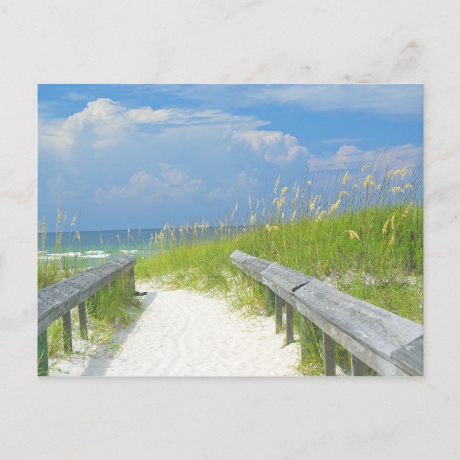 Goldene Meerestiere Postkarte (Vorderseite)