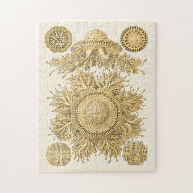 Goldene Meerestiere Puzzle (Vertikal)