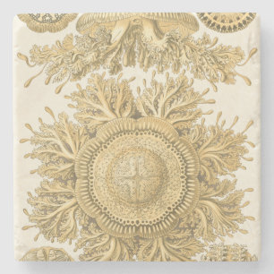 Goldene Meerestiere Steinuntersetzer