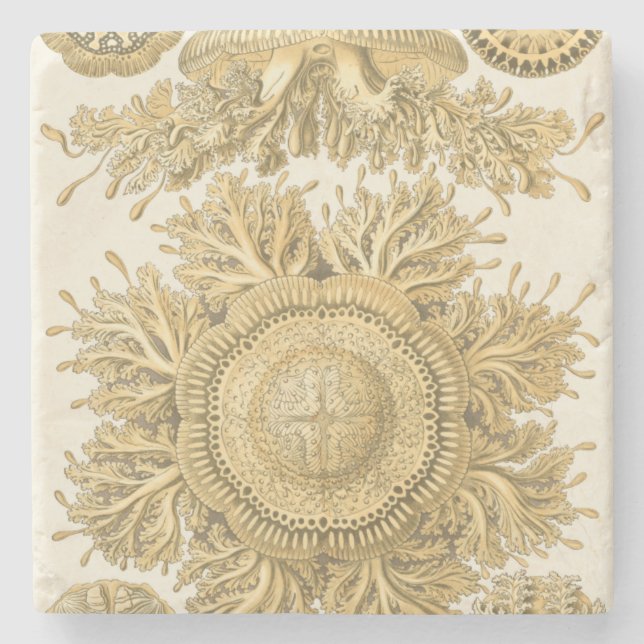 Goldene Meerestiere Steinuntersetzer (Vorderseite)