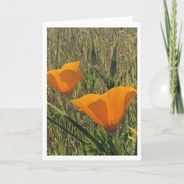 Goldene Mohnblumen (Innen leer) Karte (Vorderseite)