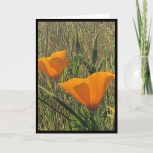 Goldene Mohnblumen Osterkarte 3 Karte