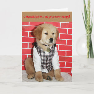 Goldene neue Welpe Karte