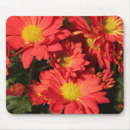 Goldene, orangefarbene Blume. Mousepad