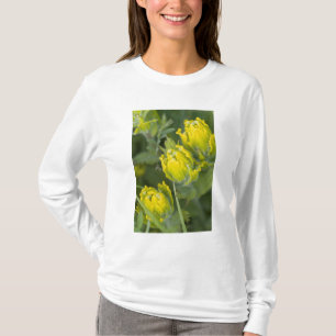 Goldene Pinsel Castilleja T-Shirt