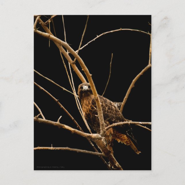 Goldene Postkarte (Vorderseite)