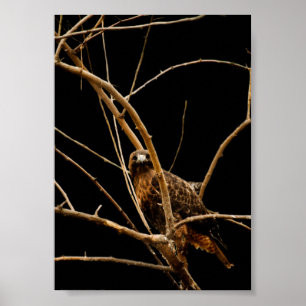 Goldene Print Poster