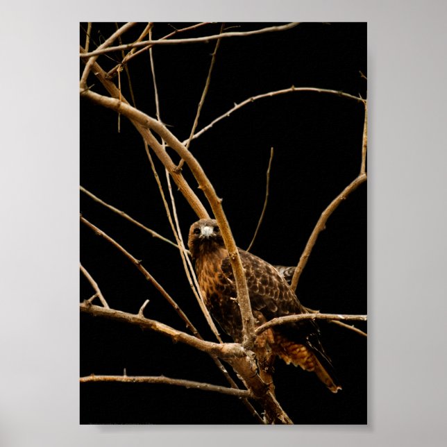 Goldene Print Poster (Vorne)