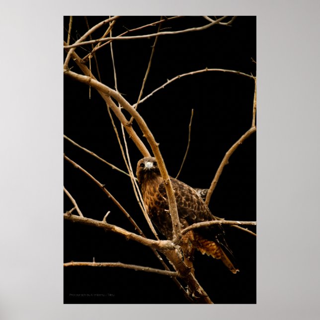 Goldene Print Poster (Vorne)