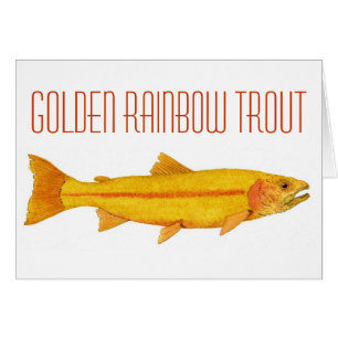 Goldene Regenbogenforelle
