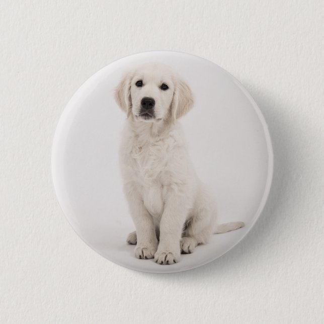 Goldene Retriever Button (Vorderseite)
