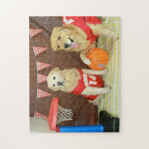 Goldene Retriever, die Basketball spielen