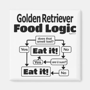 Goldene Retriever Food Logic Magnet
