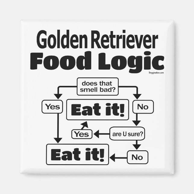 Goldene Retriever Food Logic Magnet (Vorne)