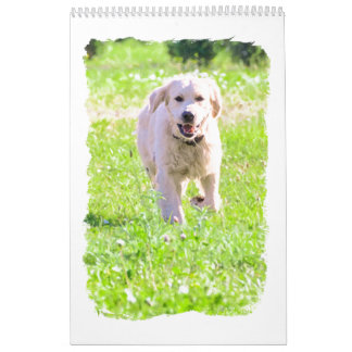Goldene Retriever Kalender