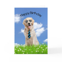Goldene Retriever
