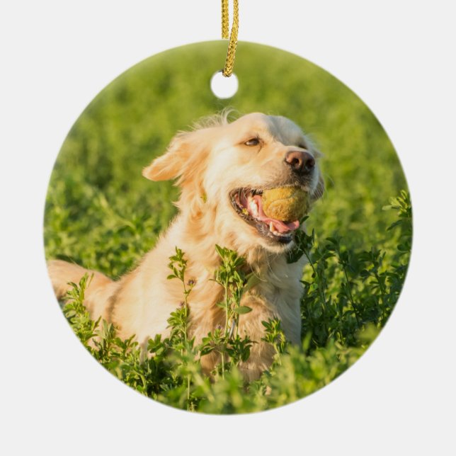 Goldene Retriever Keramik Keramik Ornament (Vorne)