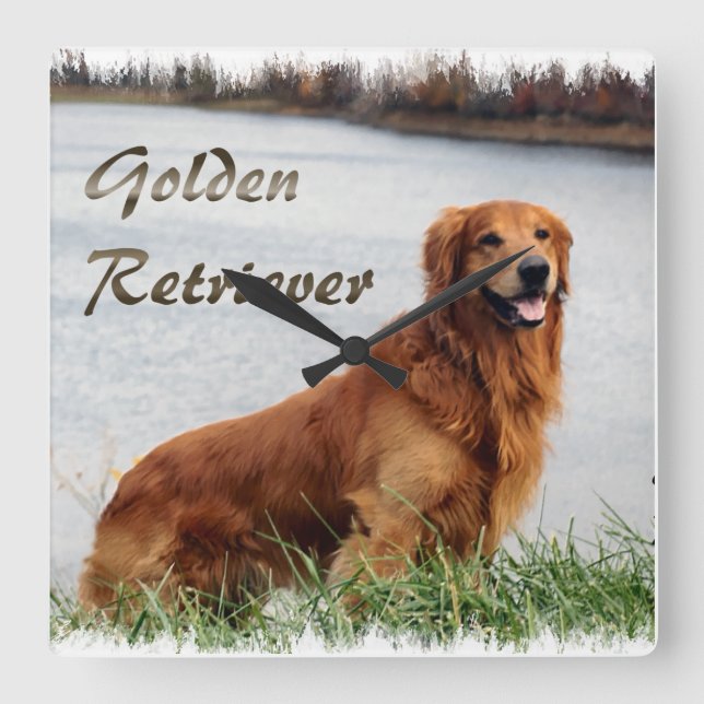Goldene Retriever Kunst Quadratische Wanduhr (Vorderseite)