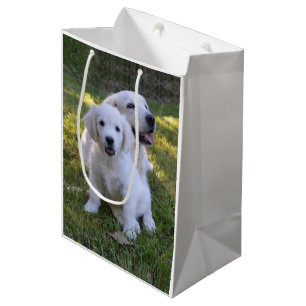 Goldene Retriever Mama und Welpe Mittlere Geschenktüte