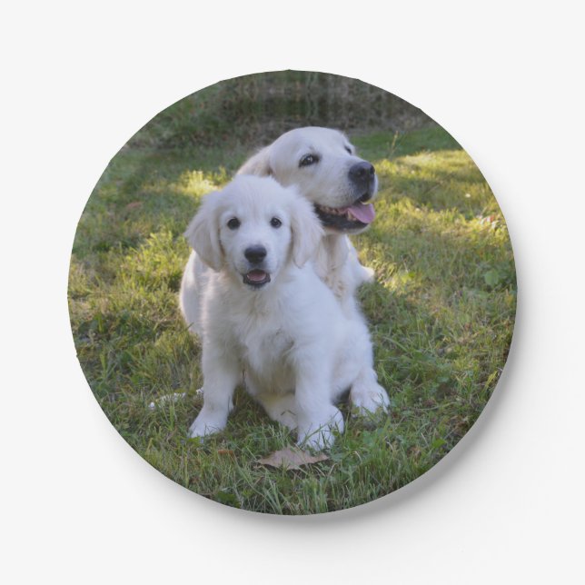 Goldene Retriever Mama und Welpe Pappteller (Vorderseite)