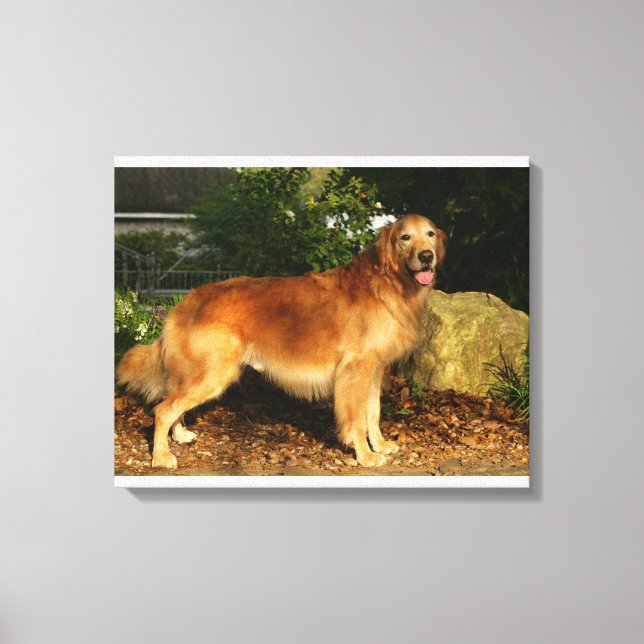 Goldene Retriever Panting Leinwanddruck (Vorderseite)