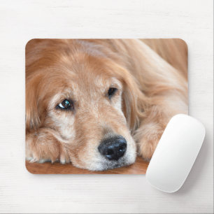 Goldene Retriever-Schließung Mousepad