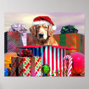 Goldene Retriever Weihnachtsüberraschung Poster