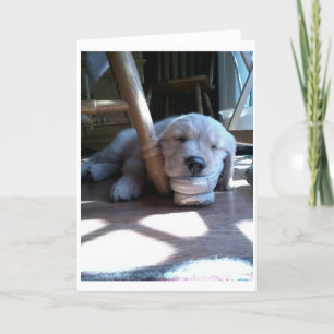 Goldene Retriever Welpe Karte