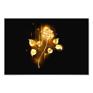 Goldene Rose (goldene Rose) Fotodruck