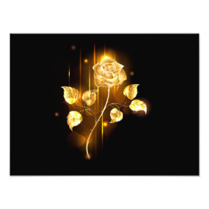 Goldene Rose (goldene Rose) Fotodruck