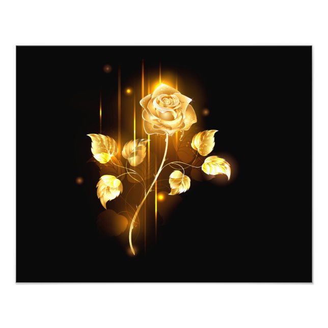 Goldene Rose (goldene Rose) Fotodruck (Vorne)