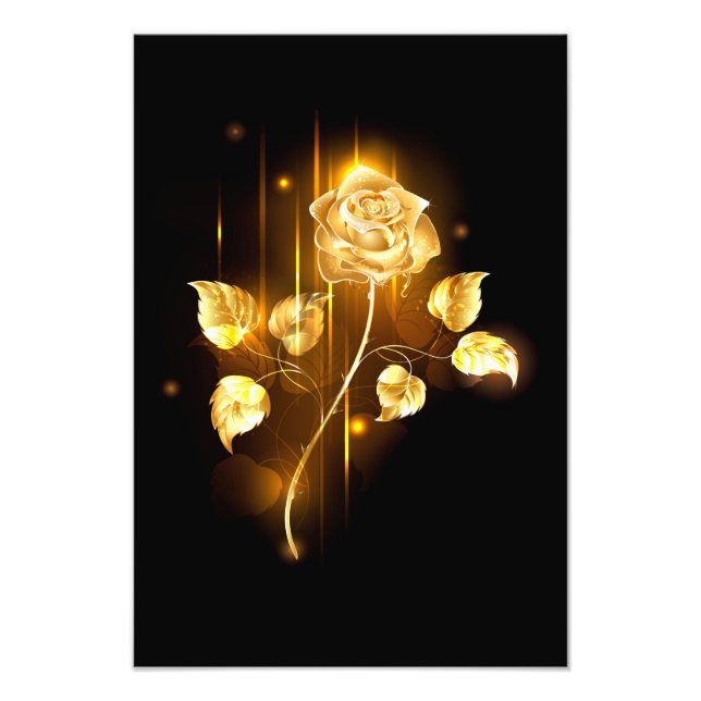 Goldene Rose (goldene Rose) Fotodruck (Vorne)