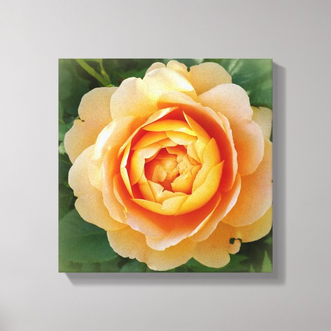 Goldene Rose Leinwanddruck (Vorderseite)