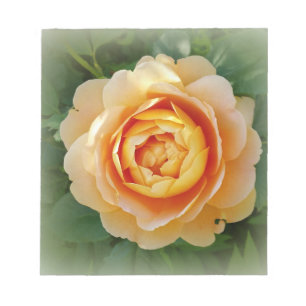 Goldene Rose Notizblock