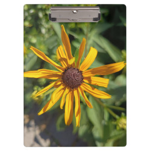 Goldene Schwarzäugige Susanne Blumen Klemmbrett   