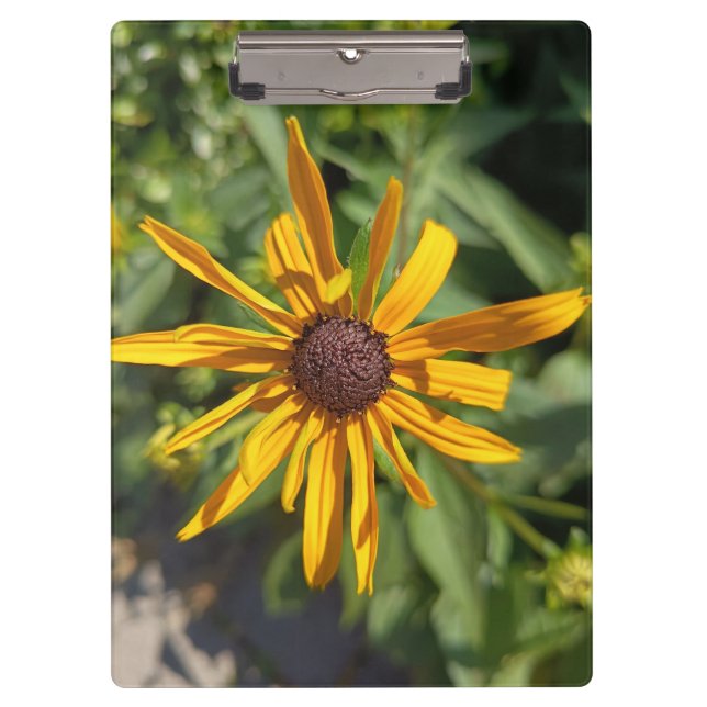 Goldene Schwarzäugige Susanne Blumen Klemmbrett |  (Vorderseite)